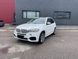 BMW X5 3l., visureigis