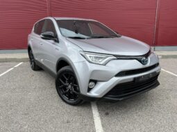 
										2018 TOYOTA RAV-4 pilnas									