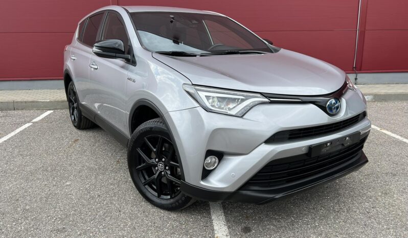 
								2018 TOYOTA RAV-4 pilnas									