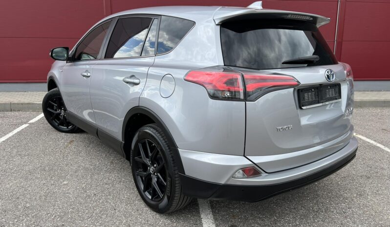 
								2018 TOYOTA RAV-4 pilnas									