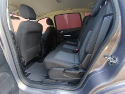 
										Ford S-max pilnas									