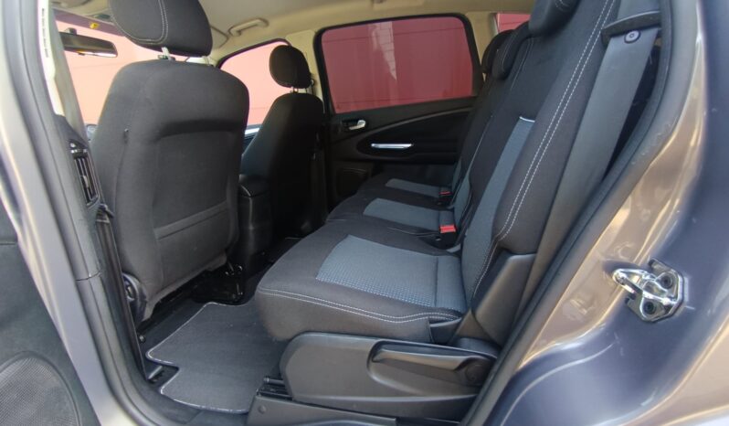 
								Ford S-max pilnas									