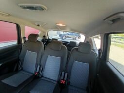 
										Ford S-max pilnas									