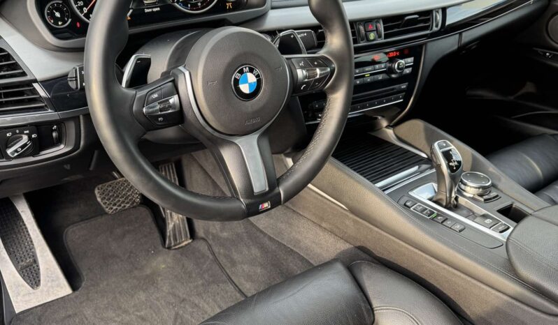 
								BMW X6 pilnas									