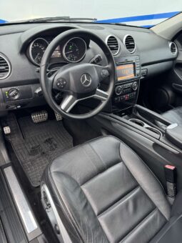 
										2010 MERCEDES BENZ ML 450 pilnas									