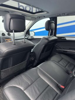 
										2010 MERCEDES BENZ ML 450 pilnas									