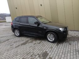 
										2013 BMW X3 pilnas									