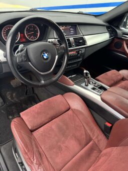 2010 BMW X6