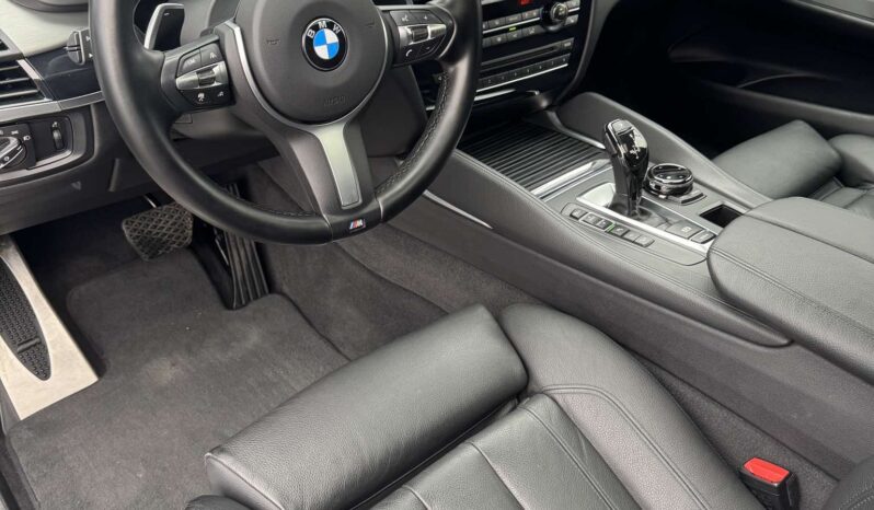 
								2017 BMW X6 pilnas									