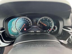 
										2018 BMW 520 pilnas									