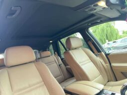
										2009 BMW X5 pilnas									