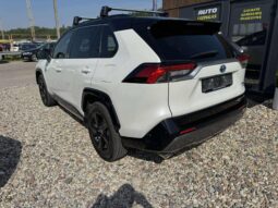 
										2020 TOYOTA RAV-4 pilnas									