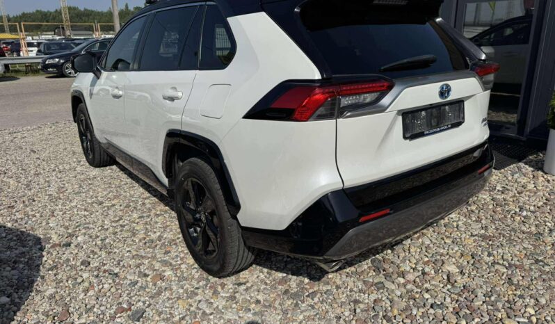 
								2020 TOYOTA RAV-4 pilnas									