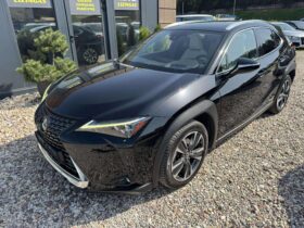 2019 LEXUS UX 250H
