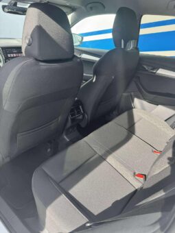 
										2021 SKODA KAROQ pilnas									