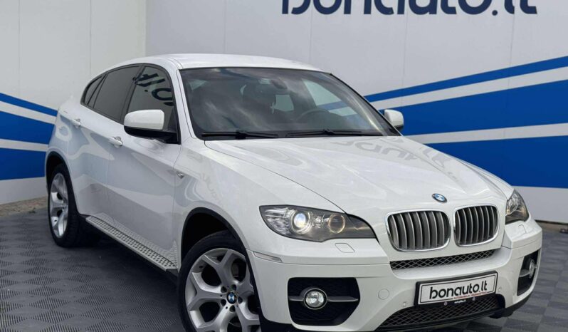 
								2010 BMW X6 pilnas									