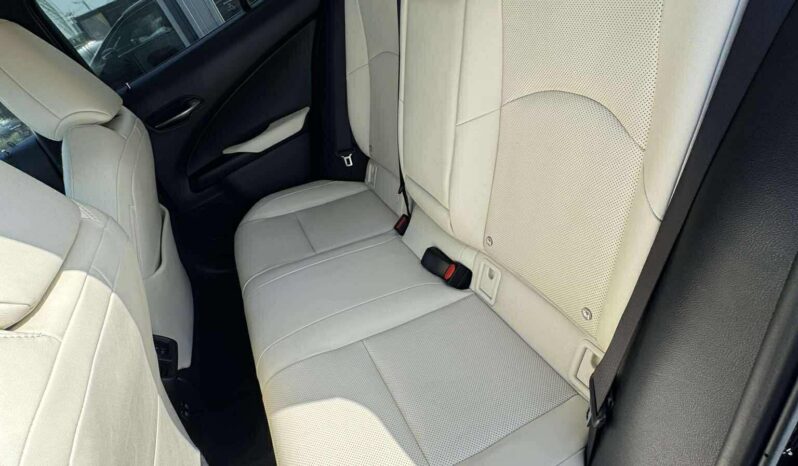 
								2019 LEXUS UX 250H pilnas									