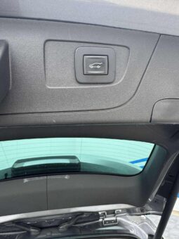 
										2018 OPEL INSIGNIA pilnas									