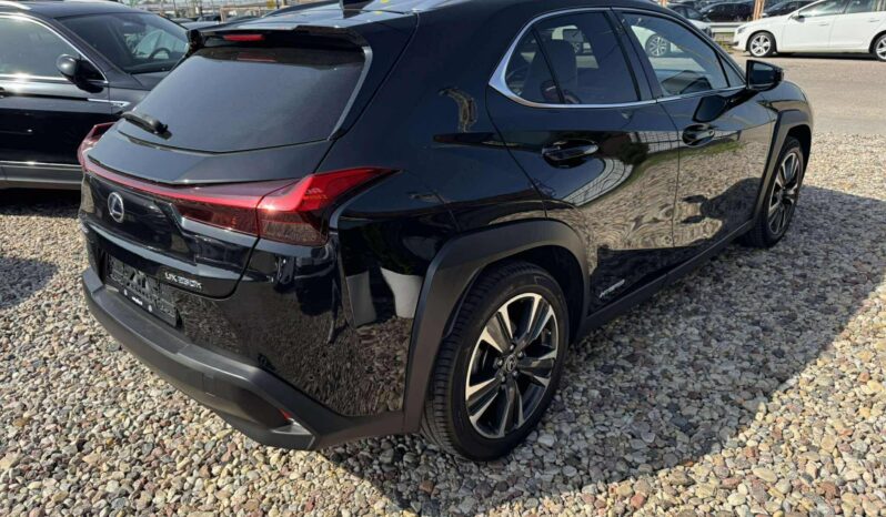 
								2019 LEXUS UX 250H pilnas									