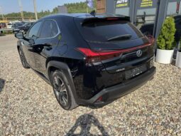 
										2019 LEXUS UX 250H pilnas									