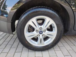 
										2013 FORD GALAXY pilnas									