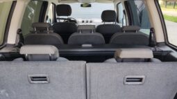 
										2013 FORD GALAXY pilnas									