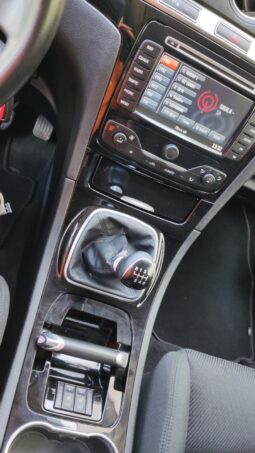 
										2013 FORD GALAXY pilnas									