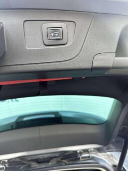 
										2018 OPEL INSIGNIA pilnas									