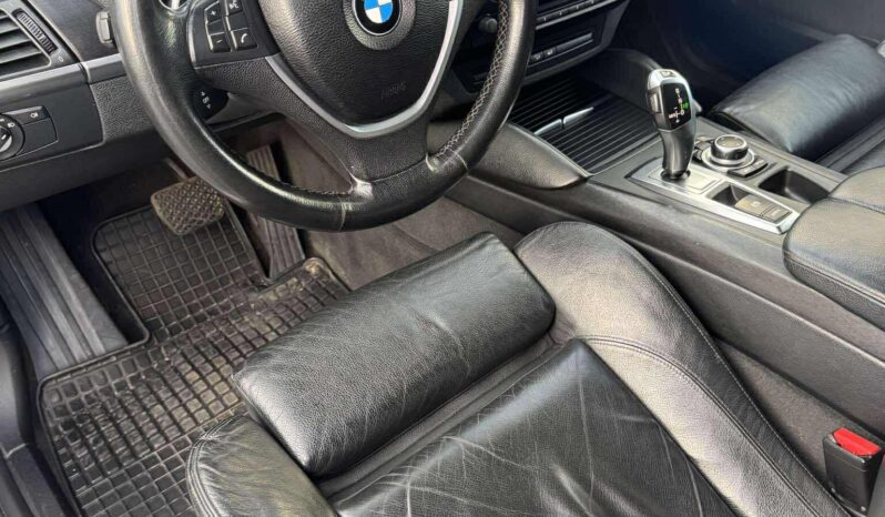 
								2010 BMW X6 pilnas									