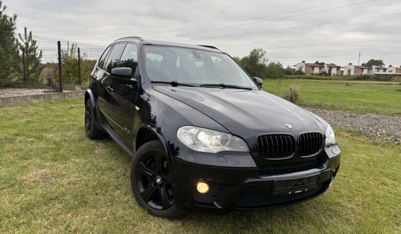 
								2011 BMW X5 pilnas									