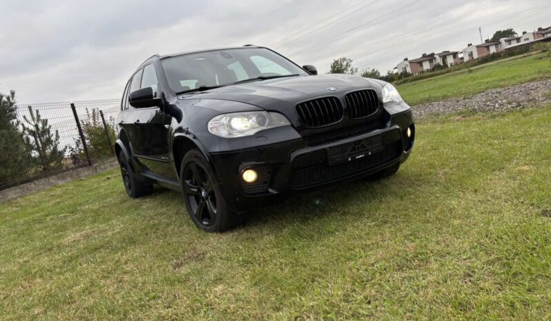 
								2011 BMW X5 pilnas									