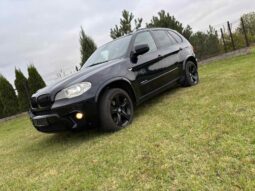 
										2011 BMW X5 pilnas									