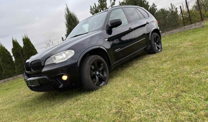 
								2011 BMW X5 pilnas									