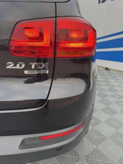 
										2011 VOLKSWAGEN TIGUAN pilnas									