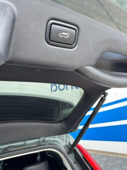 
										2022 KIA NIRO pilnas									