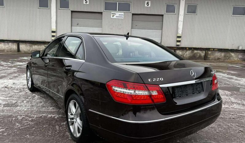 
								2010 Mercedes-Benz E220 pilnas									