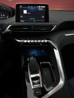 
										2018 Peugeot 3008 pilnas									