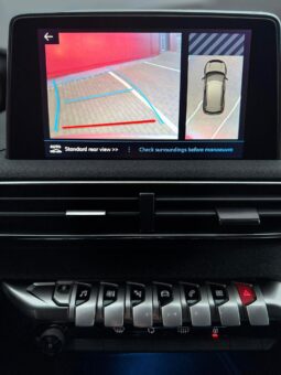 
										2018 Peugeot 3008 pilnas									