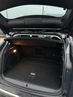 
										2018 Peugeot 3008 pilnas									