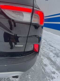 
										2020 FORD KUGA pilnas									