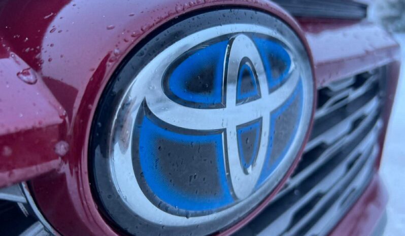 
								2022 TOYOTA RAV-4 pilnas									