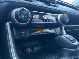 
										2022 TOYOTA RAV-4 pilnas									