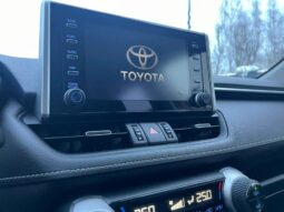 
										2022 TOYOTA RAV-4 pilnas									