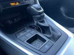 
										2022 TOYOTA RAV-4 pilnas									