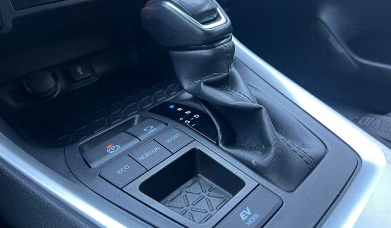 
								2022 TOYOTA RAV-4 pilnas									