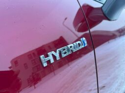 
										2022 TOYOTA RAV-4 pilnas									