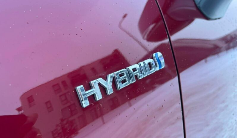 
								2022 TOYOTA RAV-4 pilnas									