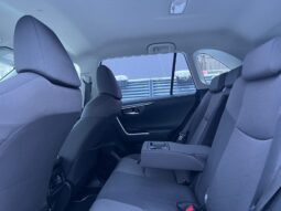 
										2022 TOYOTA RAV-4 pilnas									