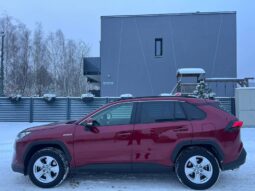 
										2022 TOYOTA RAV-4 pilnas									