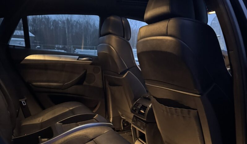 
								2011 BMW X6 pilnas									